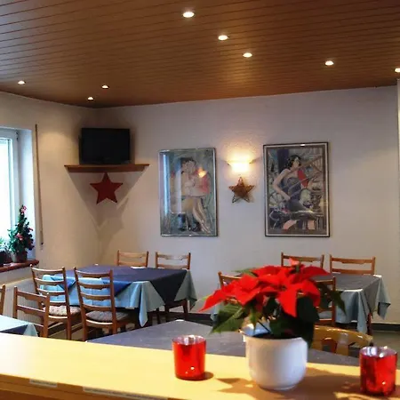 露丝旅馆 招待所 3*